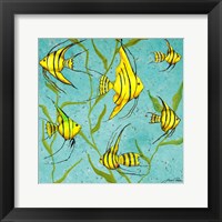 Framed School Of Fish IV