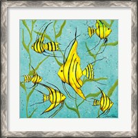 Framed School Of Fish III