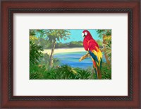 Framed Parrot By The Ocean