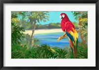 Framed Parrot By The Ocean