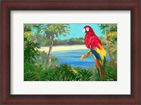 Framed Parrot By The Ocean