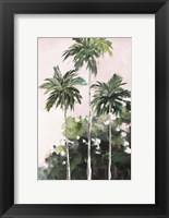 Framed Palms Under A Pink Sky