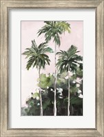 Framed Palms Under A Pink Sky