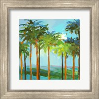 Framed Sunny Palm Trees