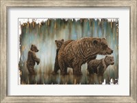 Framed Mama Bear's Protection