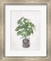 Framed Basil Jar