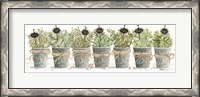 Framed Herbs in a Row