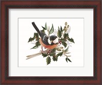 Framed Christmas Songbird I