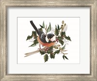 Framed Christmas Songbird I