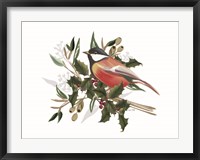 Framed Christmas Songbird II