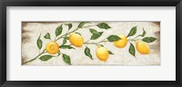 Framed Lemon Branch