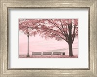 Framed Moody Pink Day in the Park