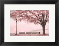 Framed Moody Pink Day in the Park
