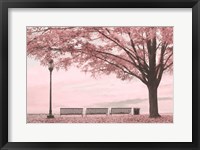 Framed Moody Pink Day in the Park