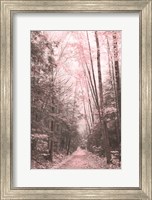 Framed Pink Forest