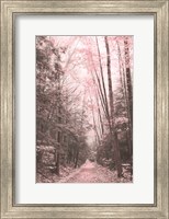 Framed Pink Forest