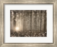 Framed My Wish for You - Trees