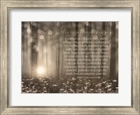 Framed My Wish for You - Trees