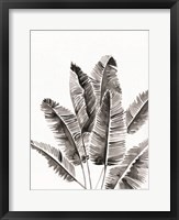 Organic Botanical III Framed Print