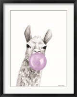 Framed Bubblegum Alpaca