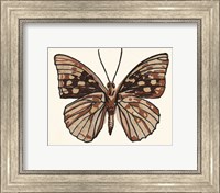 Framed Papillon 1