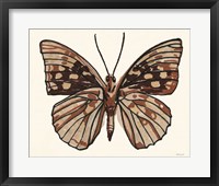 Framed 'Papillon 1' border=