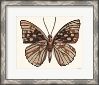 Framed 'Papillon 1' border=