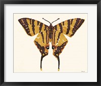 Framed 'Papillon 2' border=