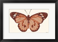 Framed Papillon 3