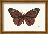 Framed Papillon 4