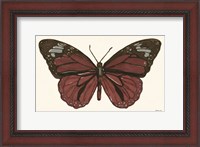 Framed Papillon 4