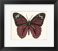 Framed Papillon 6