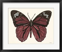 Framed 'Papillon 6' border=