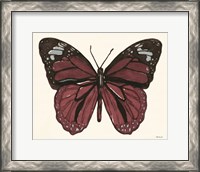 Framed Papillon 6