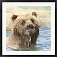 Framed Bear Bath