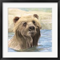 Framed Bear Bath