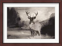 Framed Bull in Forest 1