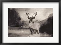 Framed Bull in Forest 1