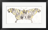 Framed Yellow-Gray Patterned Moth 2