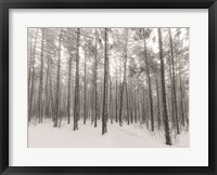 Framed Let It Snow Forest