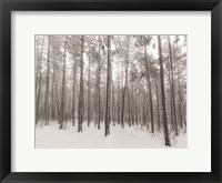 Framed Let It Snow Forest