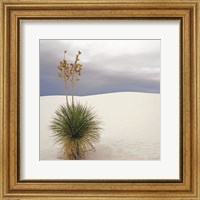 Framed Botanic Dunes