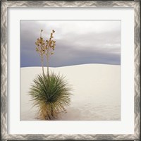 Framed Botanic Dunes