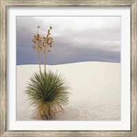 Framed Botanic Dunes