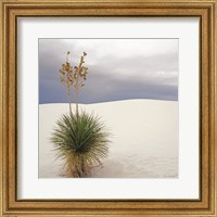 Framed Botanic Dunes