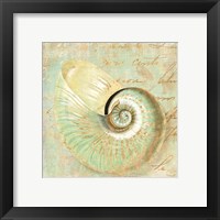 Framed 'Beach Nautilus I' border=