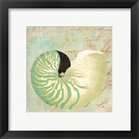 Framed 'Beach Nautilus II' border=