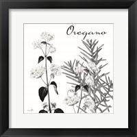 Framed 'Flowering Herbs Oregano' border=