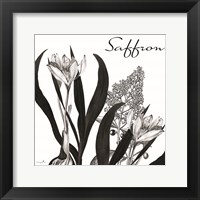 Framed 'Flowering Herbs Saffron' border=