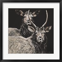 Framed Two Woodland Deer